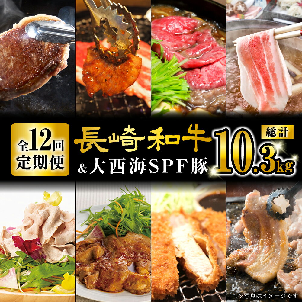 【ふるさと納税】【オールスター定期便☆】【12回定期便】 長崎和牛 大西海SPF豚 定期便 ブランド国産豚＜大西海ファーム＞ [CEK186]