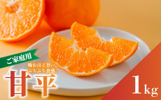 【先行予約】 甘平 家庭用 約1kg　4～5玉 お試しサイズ Sから4Lサイズ混合 【2026年1月下旬から発送予定】 | 柑橘 みかん 蜜柑 果物 くだもの フルーツ おすすめ 国産 高級 人気 お取り寄せ グルメ ギフト 期間限定 数量限定 ご当地 愛媛三大柑橘（ 紅まどんな せとか 甘平 ） 愛媛 松山 蓮果園