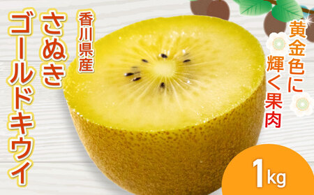 キウイ さぬきゴールドキウイ 約1kg