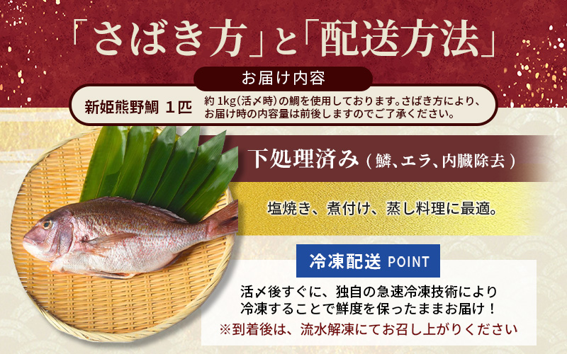 <テレビで紹介されました> 配送日指定可 新姫 熊野鯛 下処理済み 一匹 【冷凍】 鯛 タイ 刺身 お刺身 さしみ 真空 海鮮 魚介 鮮魚 養殖 寿司 お寿司 塩釜焼き 塩焼き しゃぶしゃぶ 鯛しゃぶ