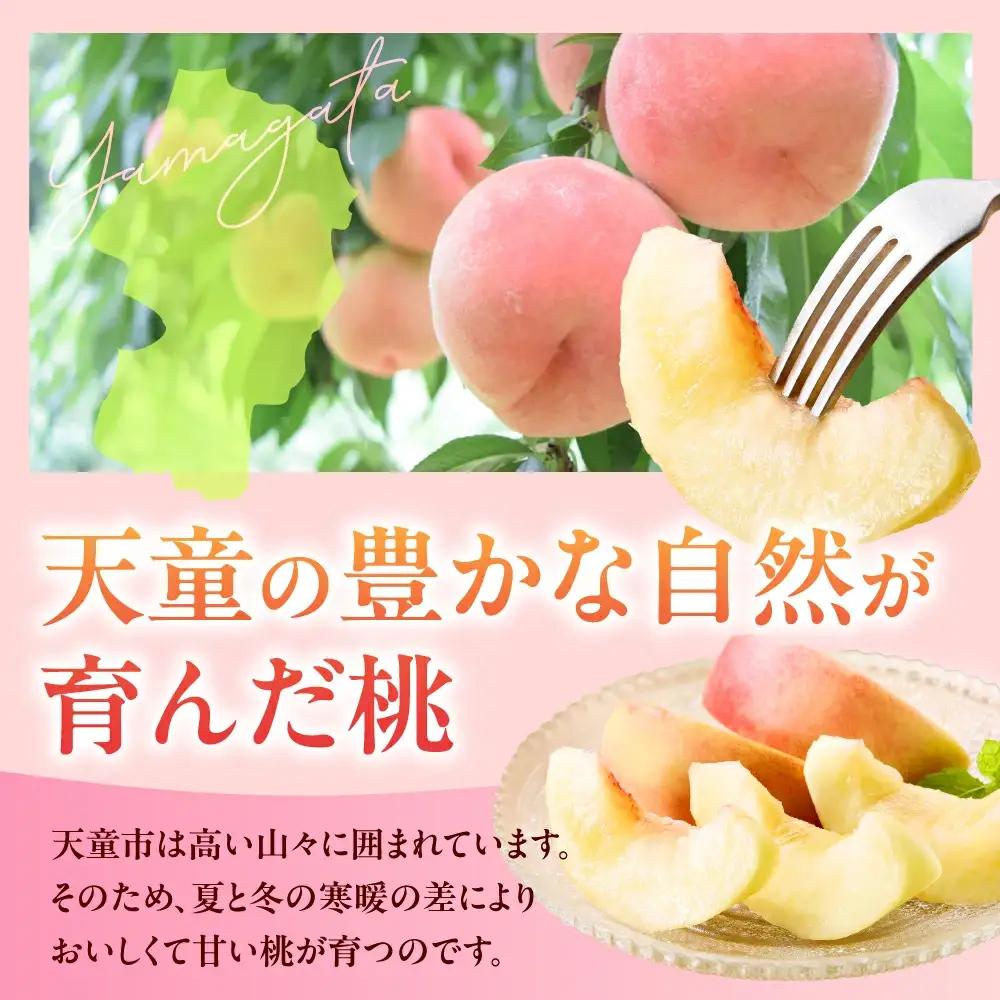 もも ( 8月 品種 おまかせ 白桃 ) 3kg フルーツ 果物 山形