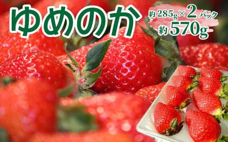 いちご　ゆめのか 285g×2パック　秀品　苺【期間・数量限定】贈答用　＜2026年1月下旬～3月下旬頃発送予定＞