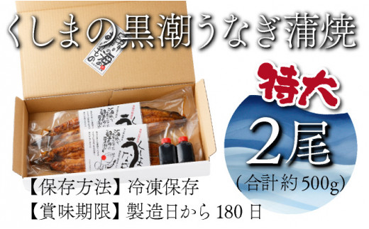 特大くしまの黒潮うなぎ蒲焼2尾（合計500g前後）_K023-007