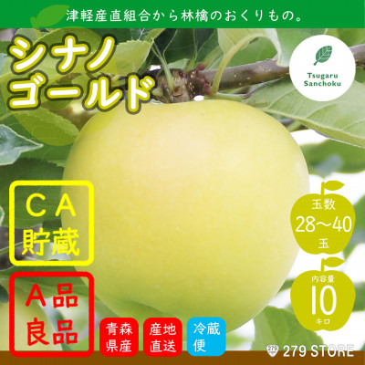 
りんご シナノゴールド 4月から順次発送 A品 10kg (28～40玉)CA貯蔵 津軽産直組合直送【1288204】
