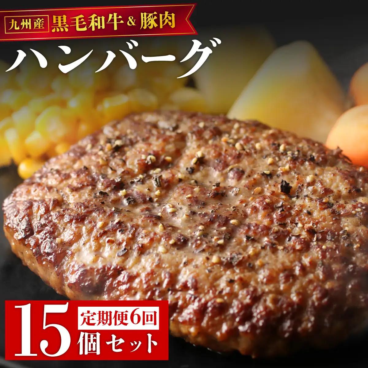 ＜定期便・全6回＞九州産黒毛和牛と九州産豚肉 ハンバーグ 15個セット 
