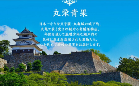 みかん 温州みかん 約10kg みかん 蜜柑 蜜柑 配送：11月中旬～