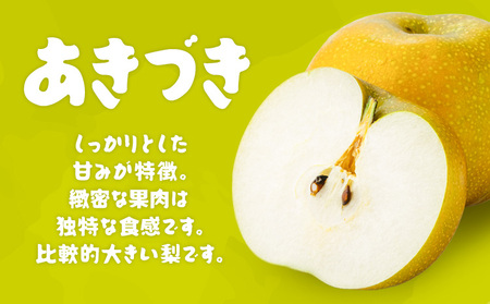 【2024年先行予約】石川梨・ぶどう園 梨 （あきづき） 約5kg 数量限定 ※9月上旬以降発送 ナシ 果物 フルーツ甘い 果汁 美しい 贈答用 人気 お届け：2024年9月上旬～9月中旬