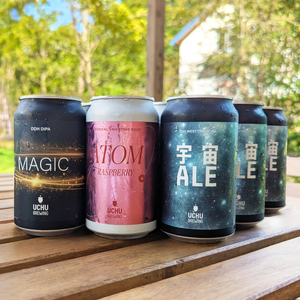 うちゅうブルーイング クラフトビール 9本 クラフトビール [h131]