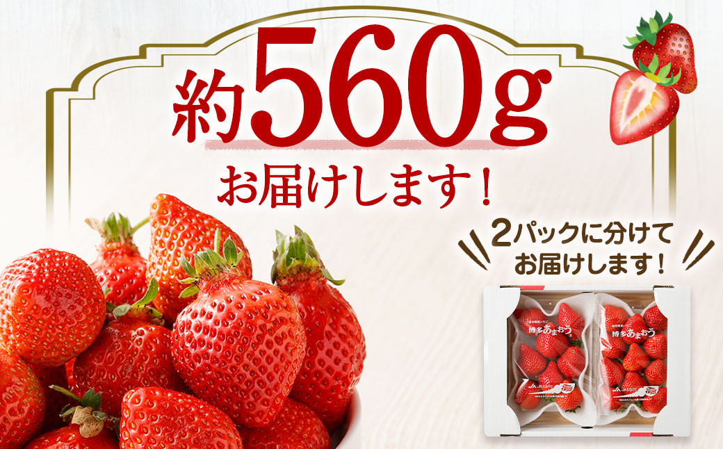 大粒セレクト！大人気のあまおう 約280g×2パック【2024年2月中旬～3月お届け】福岡県産ブランドいちご_KA0277