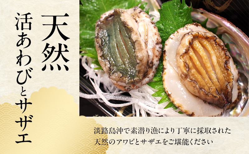 天然 活あわび 活サザエ セット 詰め合わせ アワビ 3～4個 サザエ 5～6個 活鮑 黒あわび あわび 鮑 石巻貝 貝 貝類 海鮮 海鮮セット 刺身 お刺身 BBQ バーベキュー 冷蔵 淡路島 洲本市