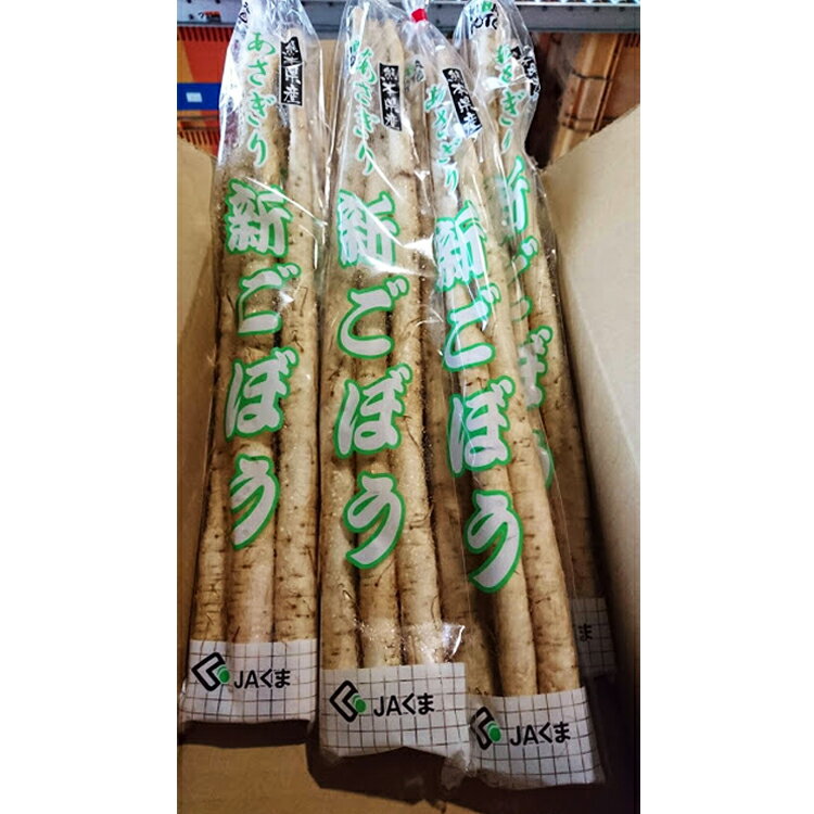 【ふるさと納税】熊本県JAくま産 球磨の新ごぼう 3kg ごぼう 水田ごぼう 【先行受付】 【お届け時期：2027年1月中旬～3月中旬迄発送予定】