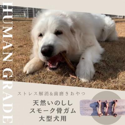 ふるさと納税 みやき町 犬の噛むおやつ☆天然いのししの骨ガム☆大型犬向け_SS750