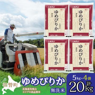 ふるさと納税 壮瞥町 【令和7年産】(無洗米20kg)ホクレンゆめぴりか(無洗米5kg×4袋) SBTD067