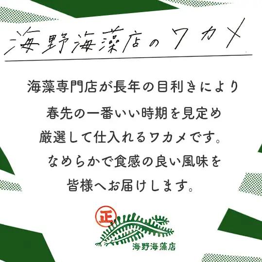 しゃきしゃき 湯通し塩蔵わかめ 2.4kg （200g×12パック） 国産 三陸産 海野海藻店 わかめ_AD002