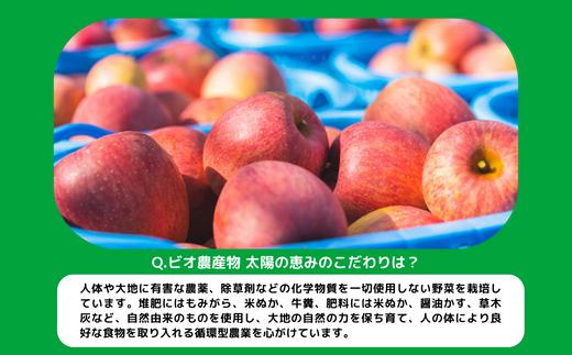 野菜 太陽の野菜セット 【 7月から 3か月 定期便 】 季節ご