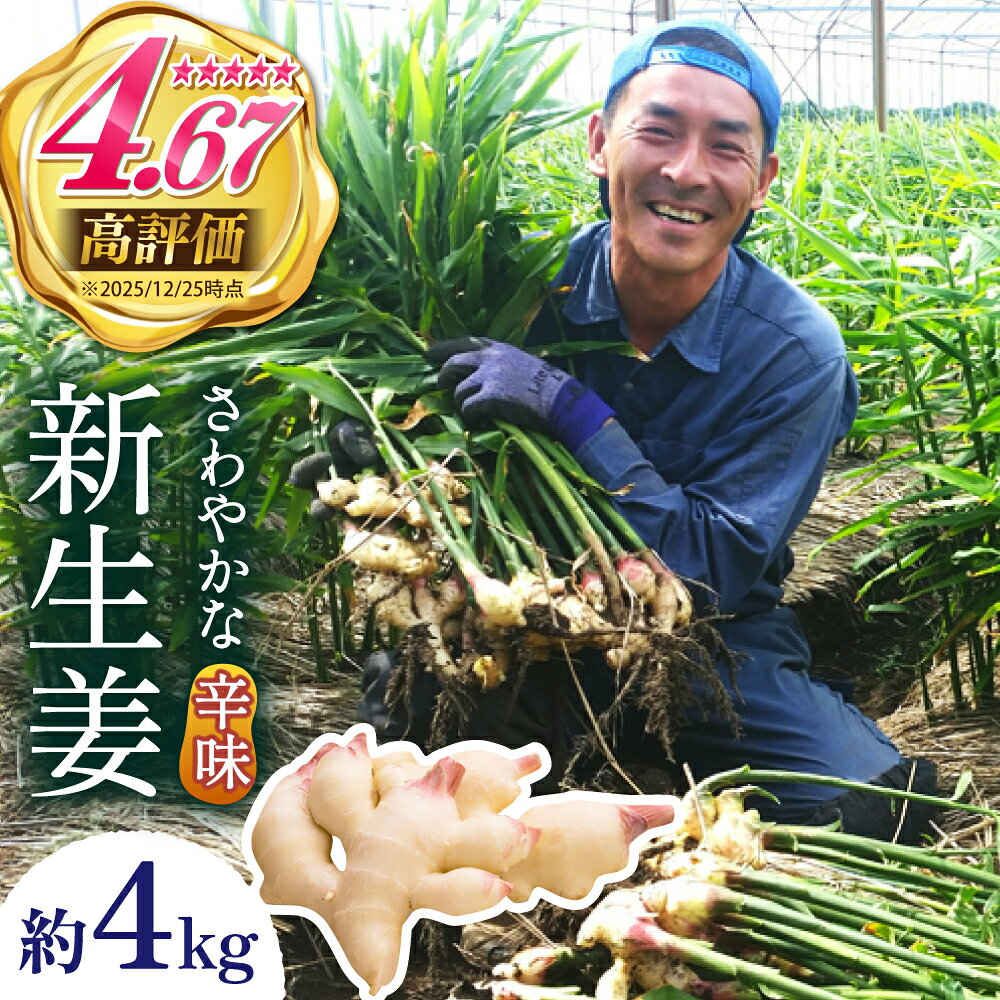 【ふるさと納税】【2027年8月～発送】新生姜 約4kg / ショウガ しょうが 生姜 / 南島原市 / ふくはちファーム/福島農園 [SBS018]
