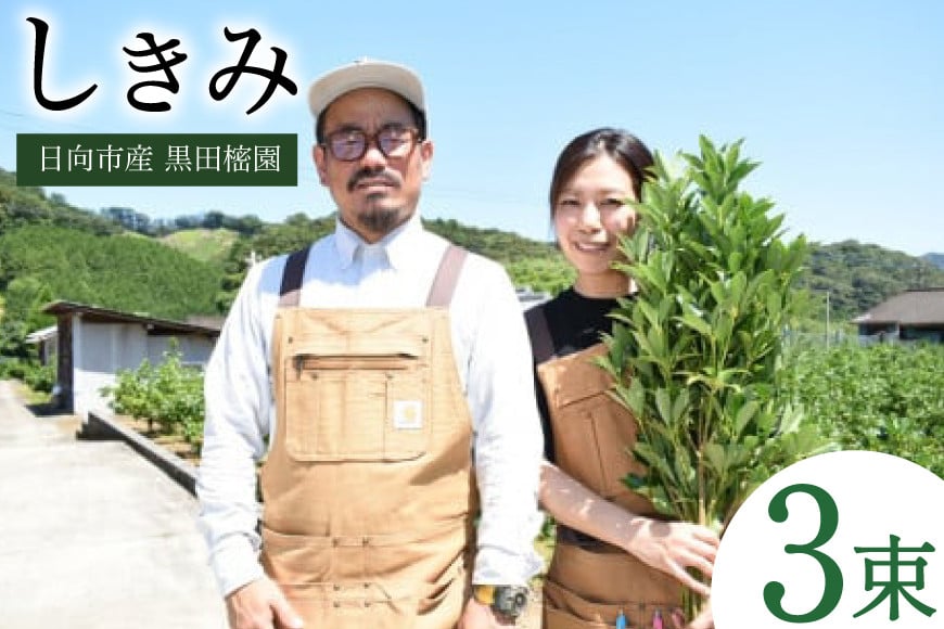 
日向市産 しきみ [黒田樒園 宮崎県 日向市 452060139]
