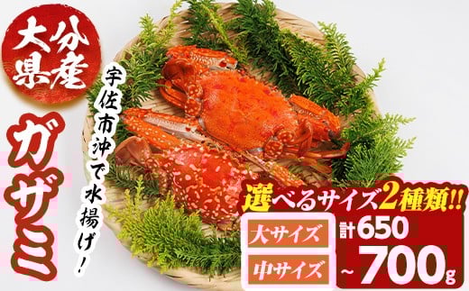 
            ＜サイズが選べる！＞あおがざみ(計650g~700g・大サイズor中サイズ) ワタリガニ　蟹 ボイル 海鮮 かに 冷凍 【101901900・101902000】【上野水産】
          