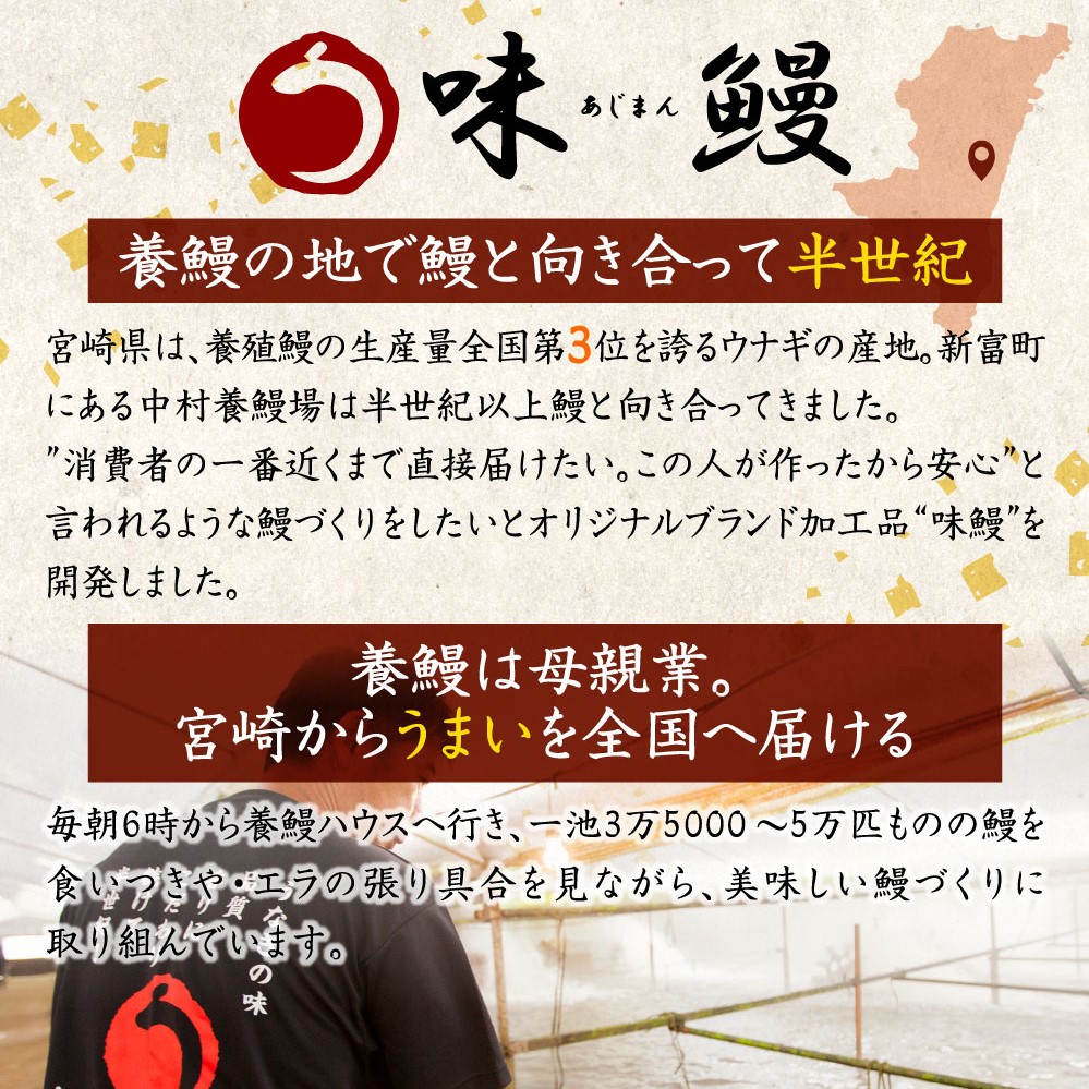 新仔!!味鰻うなぎ蒲焼3尾（無頭）・鰻丼の素6袋セット（きざみ）本格手焼備長炭蒲焼 化粧箱入【E164-2311-60】_イメージ4