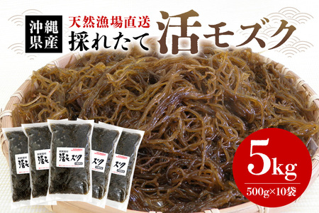 【期間限定】今が旬！天然漁場直送の新鮮食材　採れたて活モズク5kg（500g×10）沖縄県産 13-12