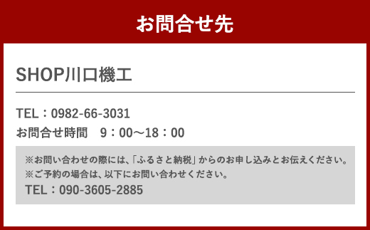 ウェイクサーフィン 2時間 体験 アクティビティ 体験チケット