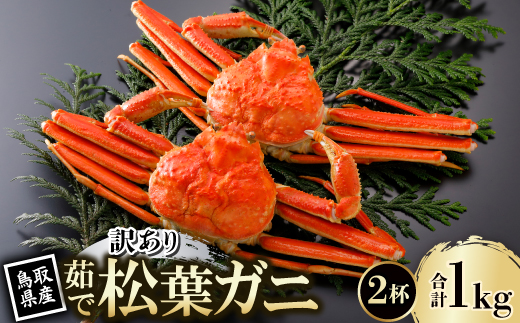 【先行予約】鳥取県産 訳あり 茹 松葉がに 500g×2杯(中村商店)2026年1月末より順次発送【配送不可地域：離島・北海道・沖縄県・東北・信越、北陸】
