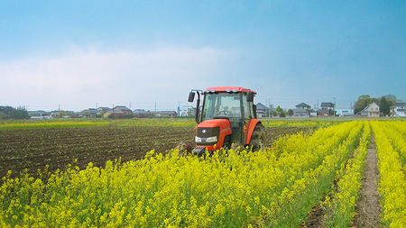 令和7年産 コシヒカリ ( 精米 5kg ) 特別栽培 菜の花米 「菜菜ちゃん」  米 こめ ごはん ご飯 白米 国産 茨城県産 新生活 プレゼント 新生活応援 必要なもの 便利 おすすめ 消耗品 一