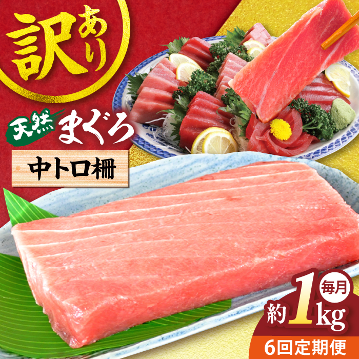 【全6回定期便】【訳あり】天然 まぐろ 中トロ（約1kg）【横須賀商工会議所 おもてなしギフト事務局（本まぐろ直売所）】 [AKAK051]