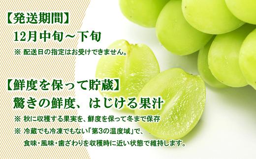 【令和7年産先行予約】 JA 冬のシャインマスカット 約1.7kg (2～4房 秀) 《令和7年12月中旬～下旬発送》 『JA山形おきたま』 山形県 南陽市 [821]
