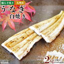 【ふるさと納税】＜職人手焼き九州産うなぎ 白焼き2尾（4切れ）計260g前後＞ ※入金確認後、翌月末迄に順次出荷します。ウナギ 鰻 宮崎県 高鍋町【冷凍】