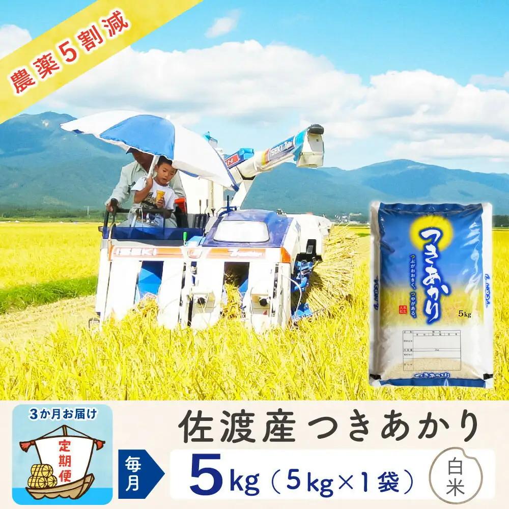 【定期便 3回】白米 5kg 精米 | 新潟県 佐渡市 つきあかり 195962-4013