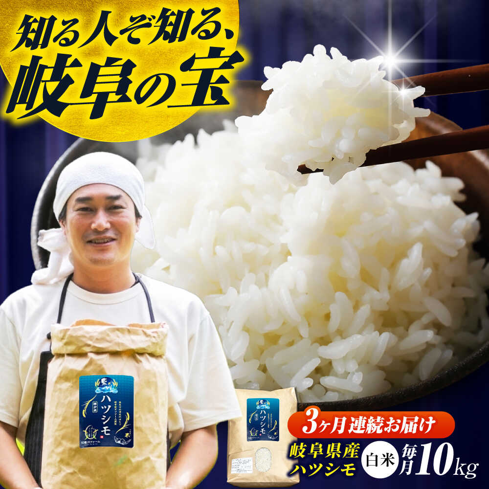 【ふるさと納税】【3回定期便】岐阜県産米ハツシモ「藍の燈」10kg ハツシモ はしつも 白米 精米 米 こめ ごはん コメ 10kg 10キロ 定期 定期便 米定期便 岐阜市 / 藍川ファーム [ANHI005]