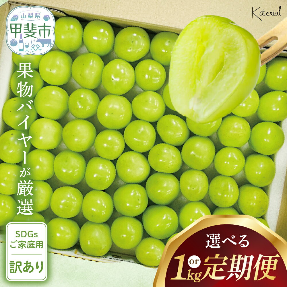【ふるさと納税】 【2025年発送】 粒シャインマスカット 約1.0kg / 約3.0kg (定期便3回) AD-277