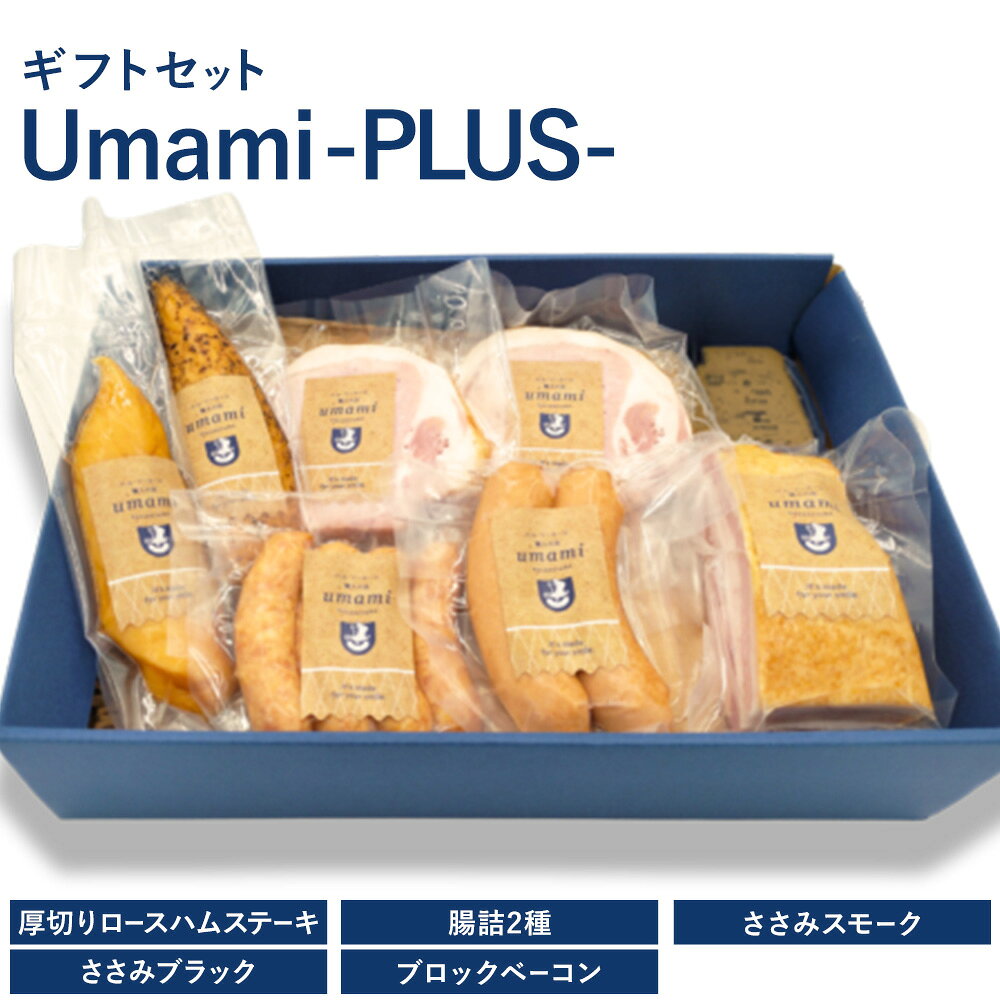 【ふるさと納税】ハム ソーセージ ギフトセット Umami -PLUS-《60日以内に出荷予定(土日祝除く)》詰め合わせ 豚肉 厚切り ハム ステーキ 腸詰 鶏肉 スモーク チキン ソーセージ ウィンナー ベーコン ギフトボックス 加工品 Umami お歳暮 ギフト ハム セット