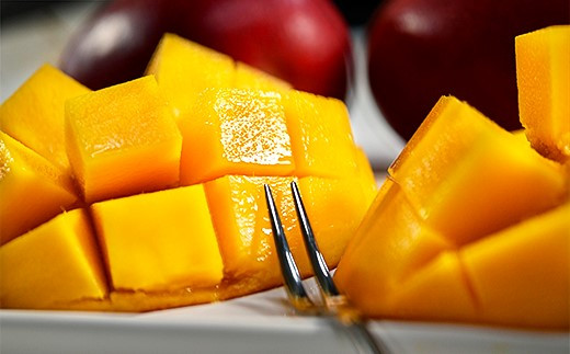 【ANA限定】西都市産完熟マンゴー2玉（900g～1kg）薗田農園 【先行予約】＜1.8-29＞2026年発送 果物 フルーツ くだもの 宮崎県 西都市