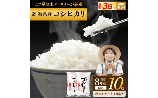 R8年産 新潟県産 コシヒカリ  10kg 新潟県 新潟市産 令和8年産 お米 精米 米 ご飯 送料無料