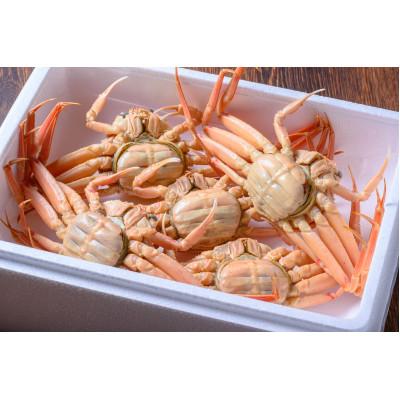 ふるさと納税 京丹後市 蟹の匠　魚政の内子外子が美味! 茹でたて セイコガニ(セコ蟹)(香箱ガニ)(こっぺ)特大サイズ 5匹 |  | 03