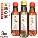 【ふるさと納税】にんにくドレッシング 「大地の恵」 200ml×3種セット 甘口 中辛 激辛 [矢口農園 長野県 池田町 48110490]