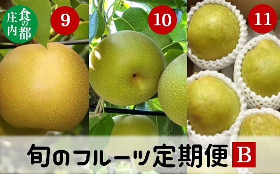 食の都庄内【令和7年産】《9・10・11月お届け-B》旬のフルーツの3ヶ月定期便