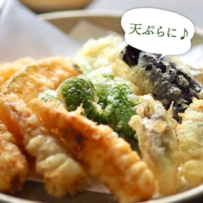 【偶数月コース】野菜 キノコ 10品目以上 詰め合わせ 6回 定期便  / 南島原市 / 吉岡青果 [SCZ006]_イメージ5