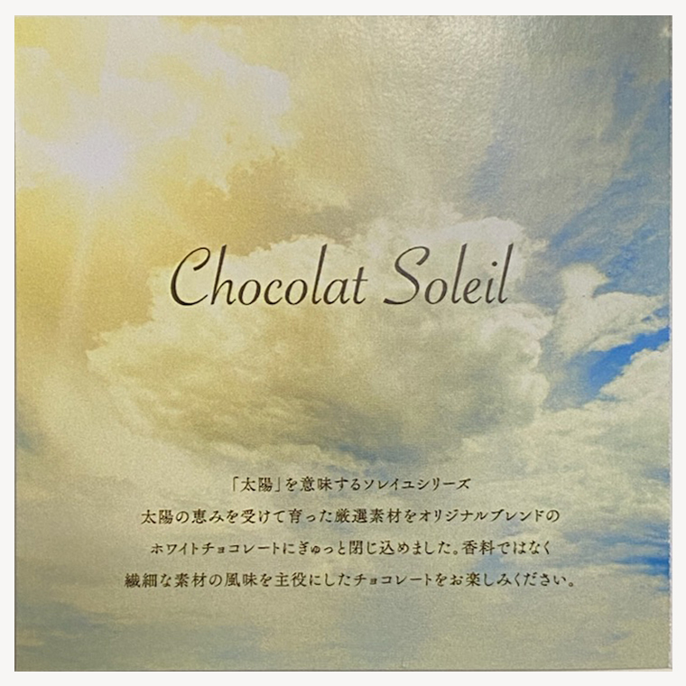 【令和5年1月から発送開始】 ショコラソレイユ 9種 チョコレート チョコ スイーツ デザート 高級 ギフト 贈り物 お礼 プレゼント 手土産 お菓子 [DJ07-NT]_イメージ3