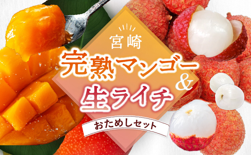 
            【先行予約/数量限定】希少 完熟マンゴー＆生ライチセット 【1玉 1パック 宮崎県産  綾町産 濃厚 甘い 果物 南国 フルーツ 高級 マンゴー 国産ライチ 産地直送 期間限定 冷蔵 送料無料 お中元 ふるさと納税】
          