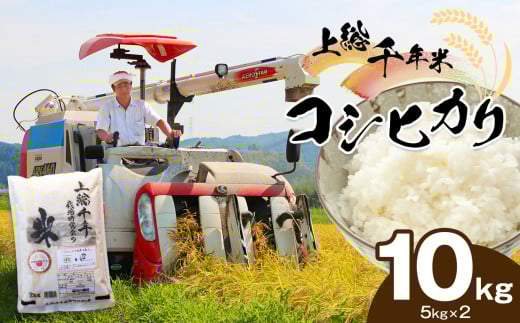 上総千年米 コシヒカリ （精米） 10㎏ | 米 こめ お米 おこめ 白米 精米 プレミアムなお米 千葉 こしひかり 千葉県 君津市