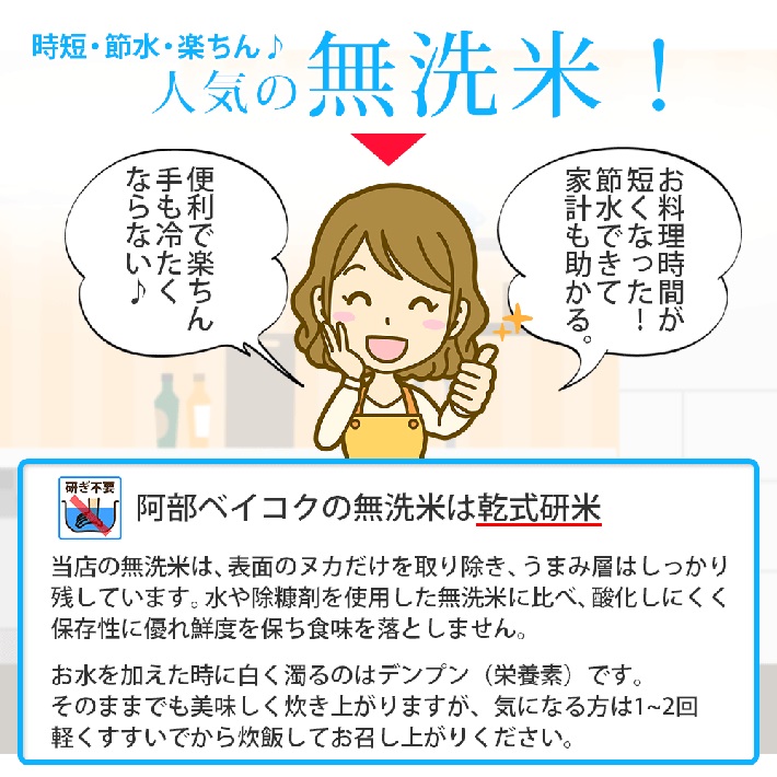 無洗米 庄内産はえぬき5kg×1袋（令和6年産米）