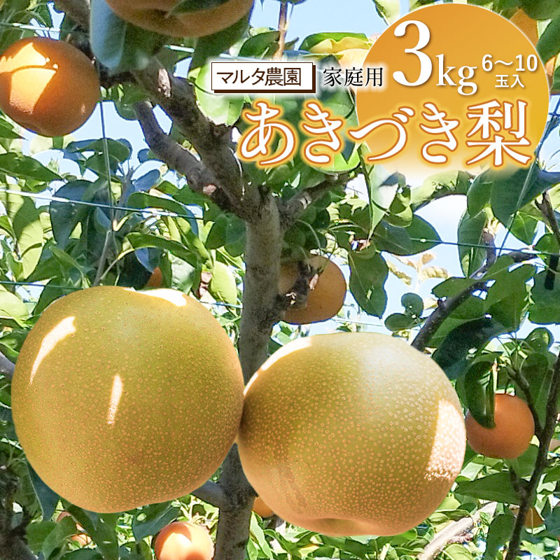 【ふるさと納税】【令和7年産先行予約】 家庭用　和梨 あきづき 3kg（6〜10玉）　マルタ農園
