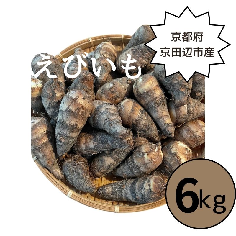 【ふるさと納税】えびいも　5kg　お届け：10月中旬から12月中旬