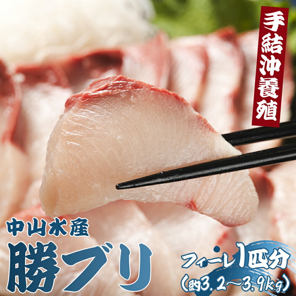 【ふるさと納税】手結沖養殖「勝ブリ」フィーレ 1匹分（約3.2kg〜3.9kg）- 期間限定 魚 ぶり 鰤 寒ブリ 海鮮 鮮魚 魚介類 切り身 海の幸 ギフト お刺身 煮物 焼き魚 おかず 産地直送 のし対応可 送料無料 高知県 香南市 しゃぶしゃぶ 半身【冷蔵】ny-0011