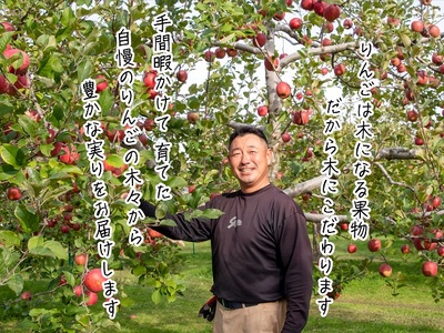 りんご サンふじ 木村りんご園 青森県産 りんご【約5kg 12〜18玉】