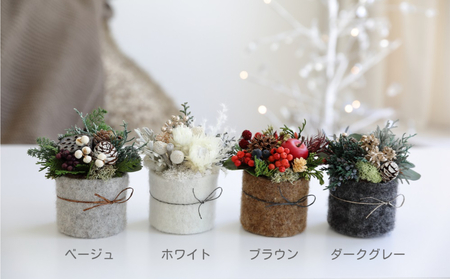 コロンウィンター【クリスマス限定！申込は11月30日まで】
 ベージュ