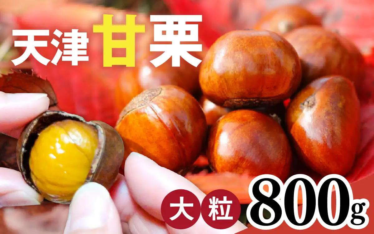 【先行予約】天津甘栗 800g / 甘栗